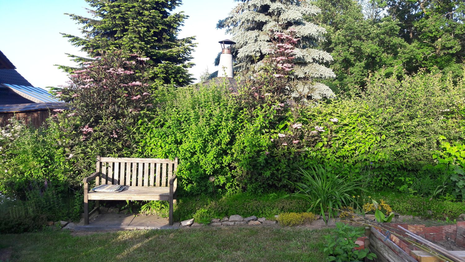 Bienen-Nährgehölz-Hecke aus 10 Pflanzen - Diese bienenfreundliche Hecke fällt auf!