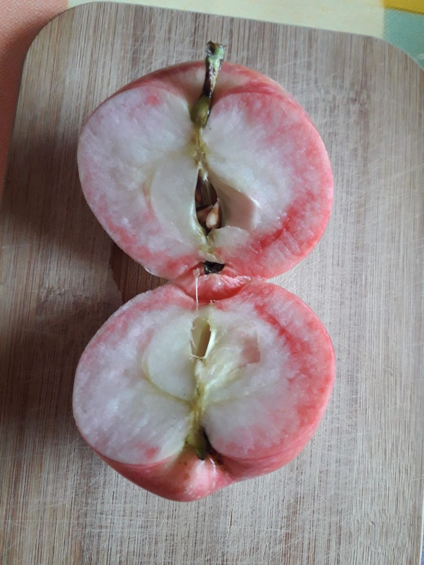 Herbstapfel 'Gravensteiner' - Malus 'Gravensteiner'