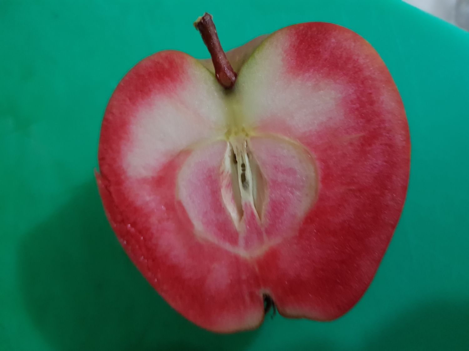 Herbstapfel 'Rote Wolke' - Malus 'Rote Wolke'