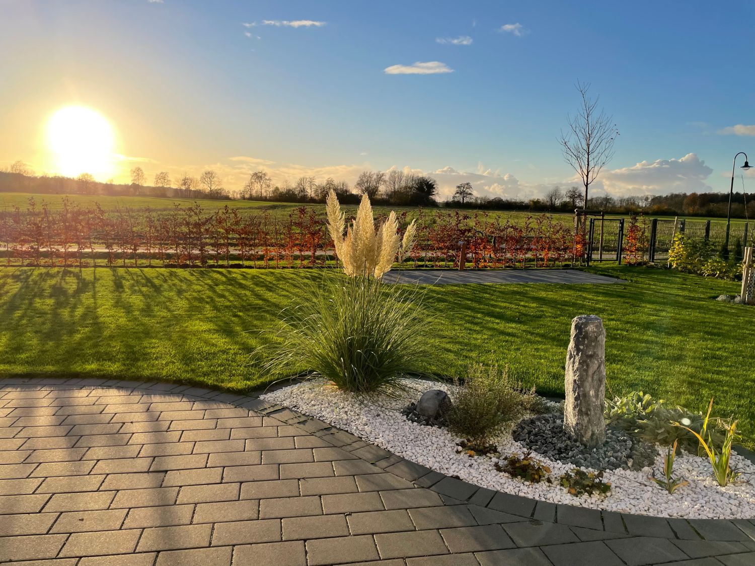 Kleines Pampasgras 'Pumila' - Cortaderia selloana 'Pumila'