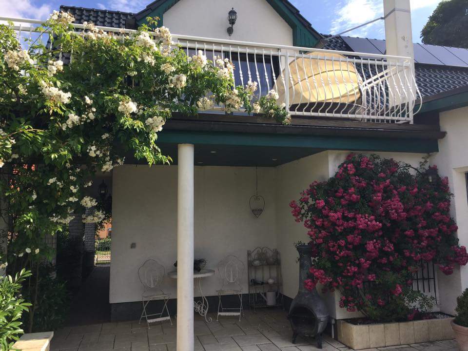 Ramblerrose 'Bobby James' - Rosa 'Bobby James'