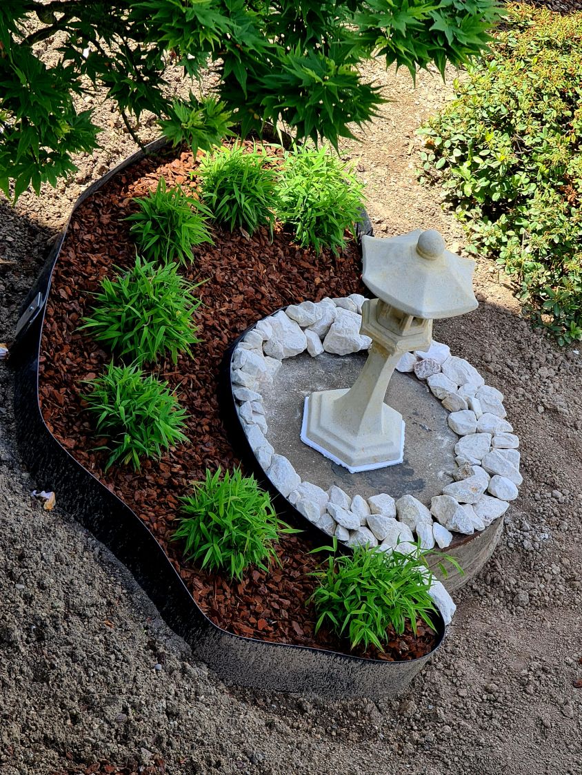 Zwergbambus 'Luca' - Fargesia murieliae 'Luca'