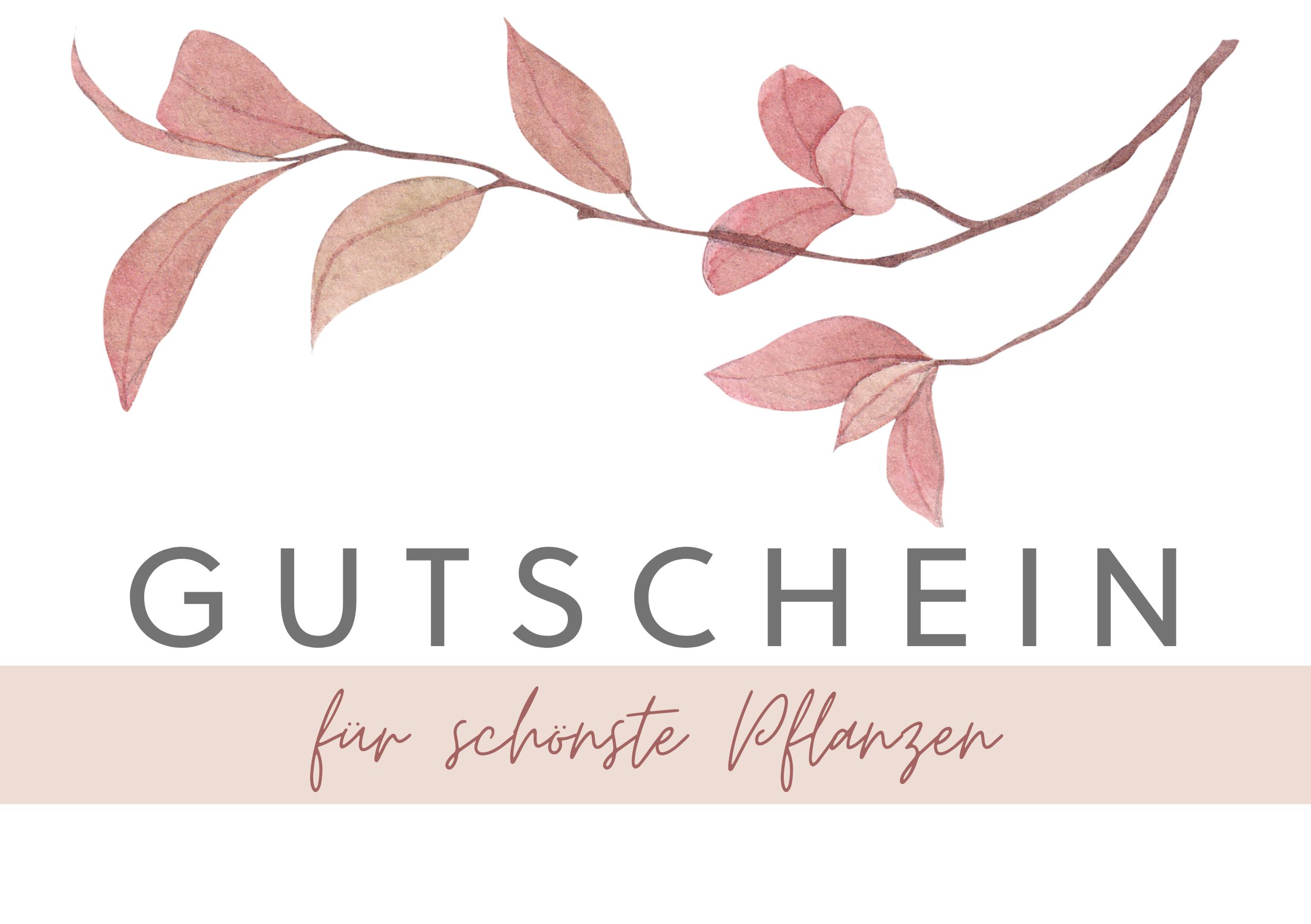 Gutscheine Baumschule Horstmann ein Stück Garten als Geschenk
