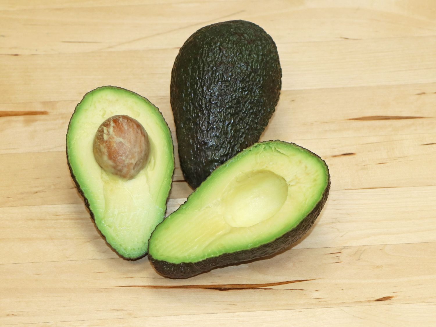 Avocado - Persea americana