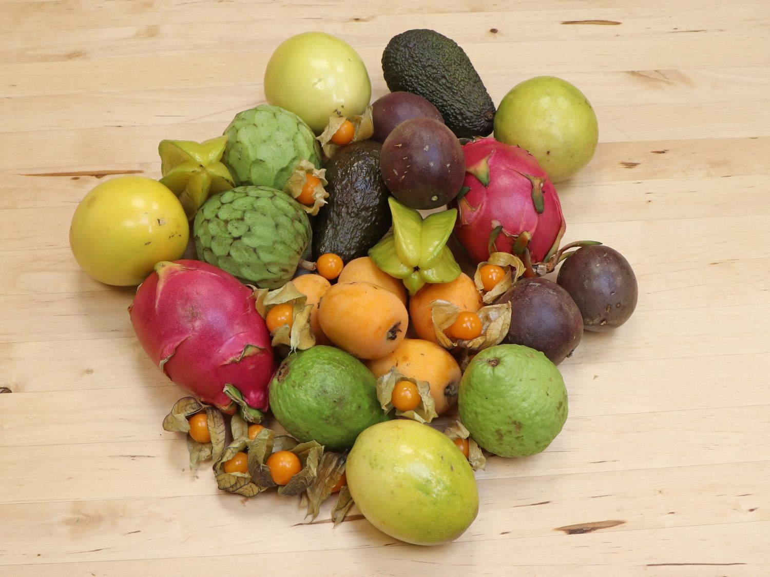 Avocado - Persea americana