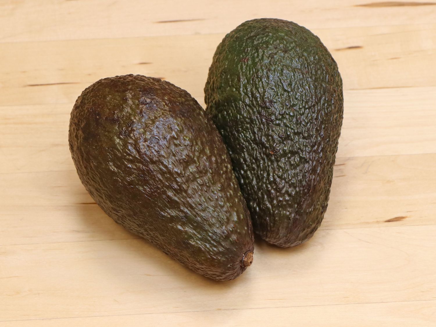 Avocado - Persea americana