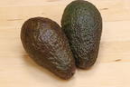Avocado - Persea americana