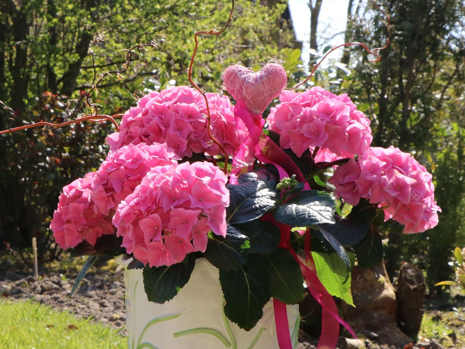Ballhortensie Endless Summer ® 'The Original' (Rosa) - Hydrangea macrophylla Endless Summer ® 'The Original' (Rosa)