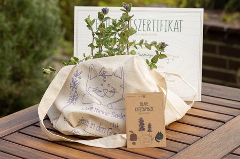 Blaue Katzenminze Fanpaket (Limited Edition) - Azubi-Projekt der Happy Sprouts
