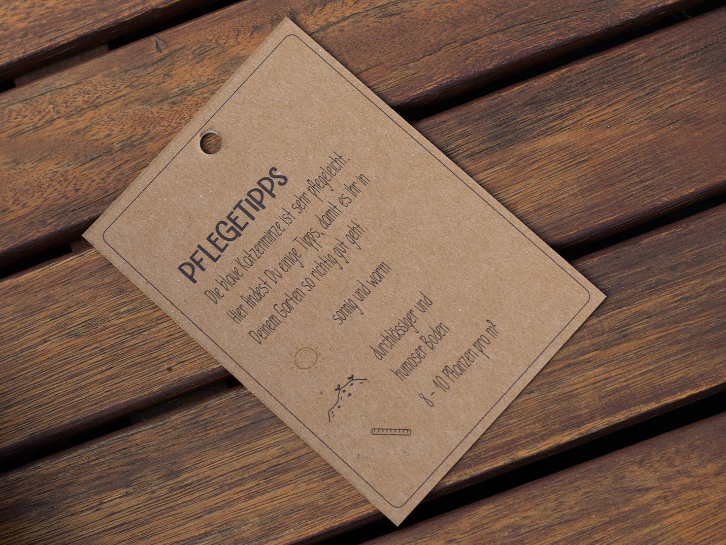 Blaue Katzenminze Fanpaket (Limited Edition) - Azubi-Projekt der Happy Sprouts