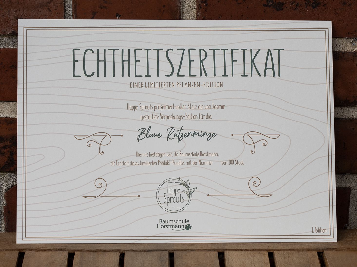 Blaue Katzenminze Fanpaket (Limited Edition) - Azubi-Projekt der Happy Sprouts