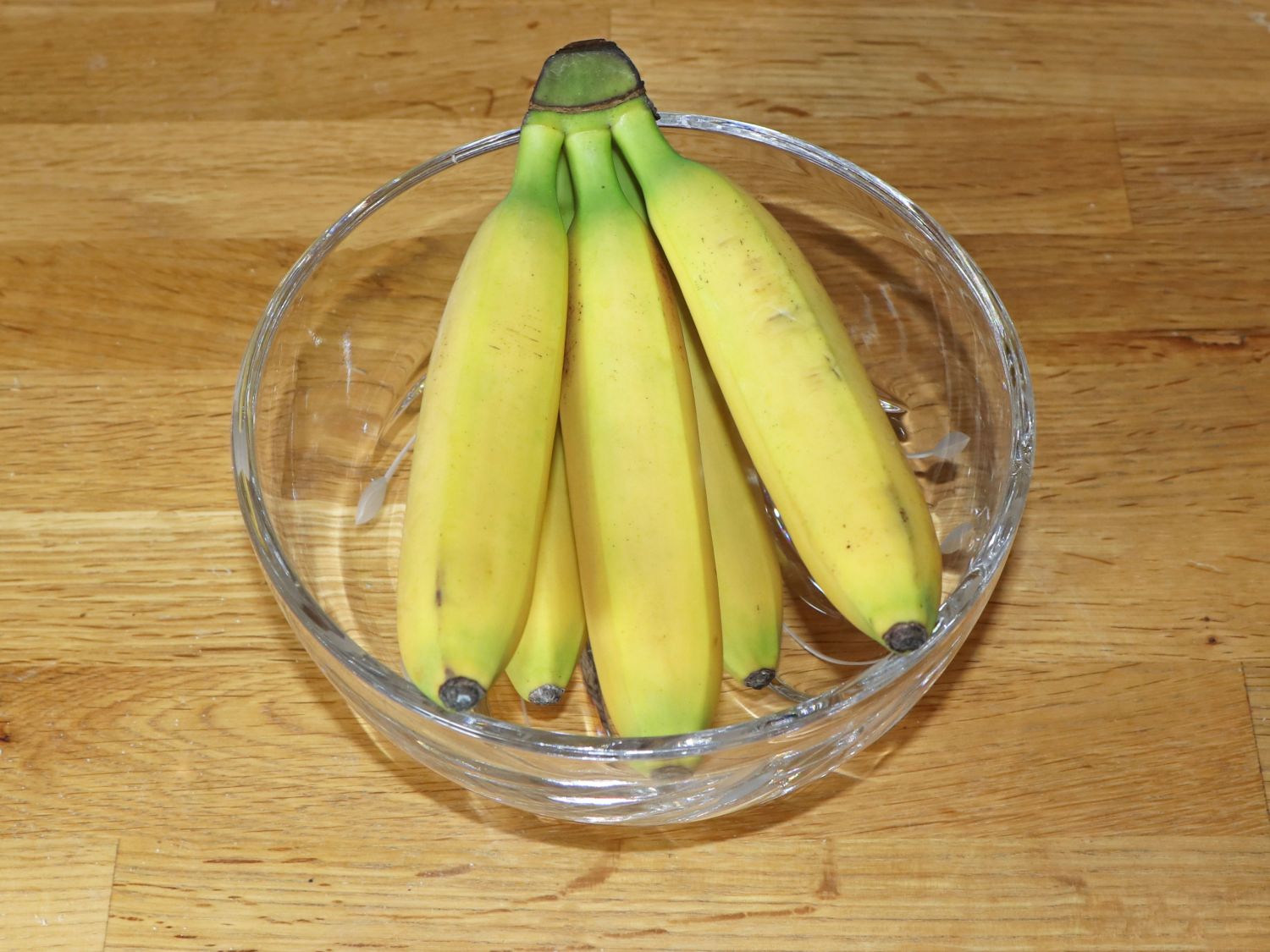 Darjeeling-Banane / Bananenstaude 'Red Tiger' - Musa sikkimensis 'Red Tiger'