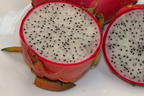 Drachenfrucht / Dragon Fruit / Chacam - Hylocereus undatus