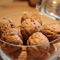 Echte Walnuss (aus Samen) - Juglans regia