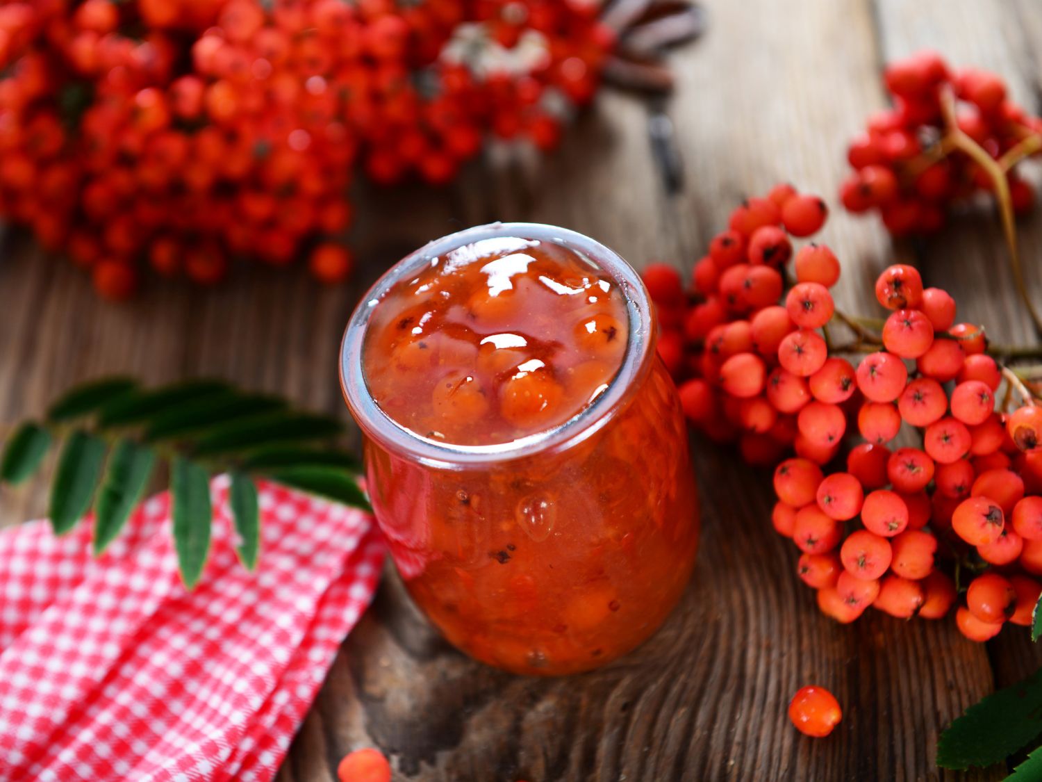 Essbare Vogelbeere / Eberesche 'Konzentra'