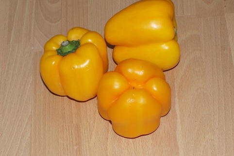 Gelber Paprika 'Beluga ® Yellow' - Capsicum annuum 'Beluga ® Yellow'