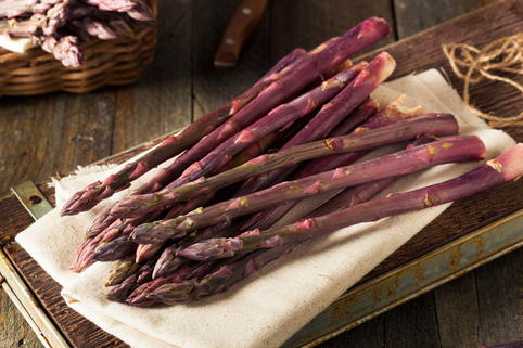 Gemüse-Spargel 'Pacific Purple' - Asparagus officinalis 'Pacific Purple'