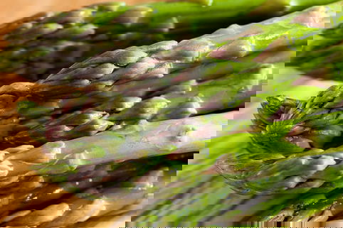 Grünspargel 'Huchel's Schneewittchen' - Asparagus officinalis 'Huchel's Schneewittchen'