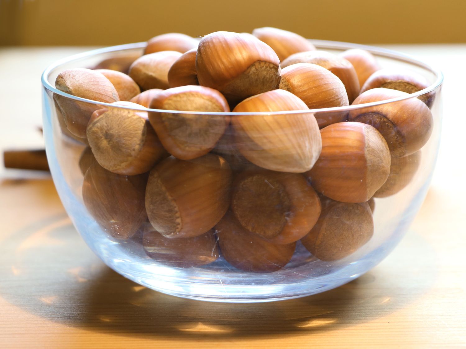 Haselnuss 'Webbs Preisnuss'