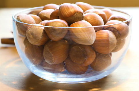 Haselnuss 'Webbs Preisnuss' - Corylus avellana 'Webbs Preisnuss'