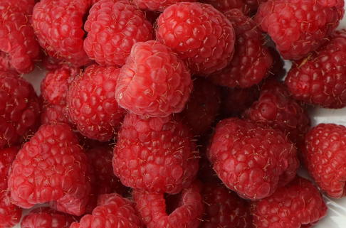 Herbst-Himbeere Primeberry ® 'Autumn Happy' ® - Rubus idaeus Primeberry ® 'Autumn Happy' ®