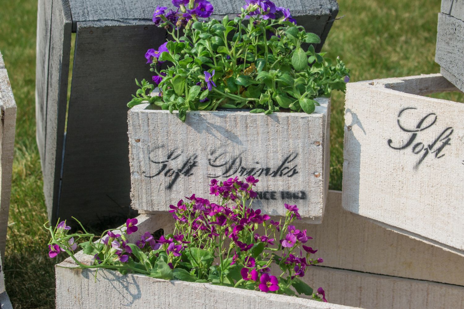 Holzkisten 6er-Set - Deko-Kisten in Grau, Weiß oder Natur