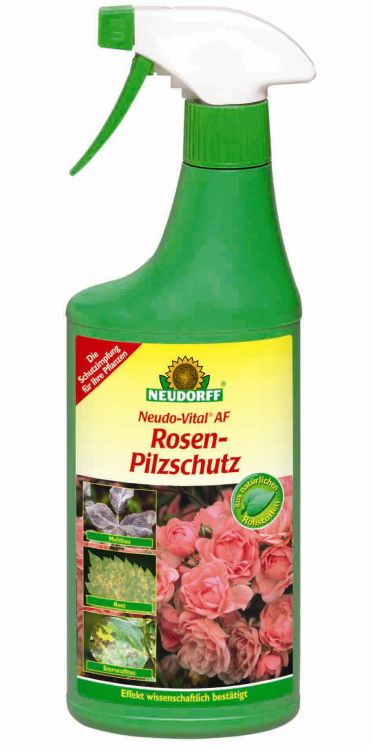 Neudo-Vital AF Rosen Pilzschutz