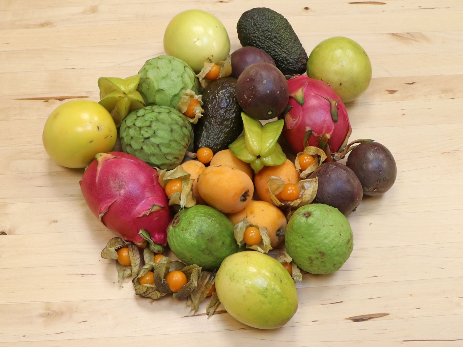 Japanische Wollmispel - Eriobotrya japonica