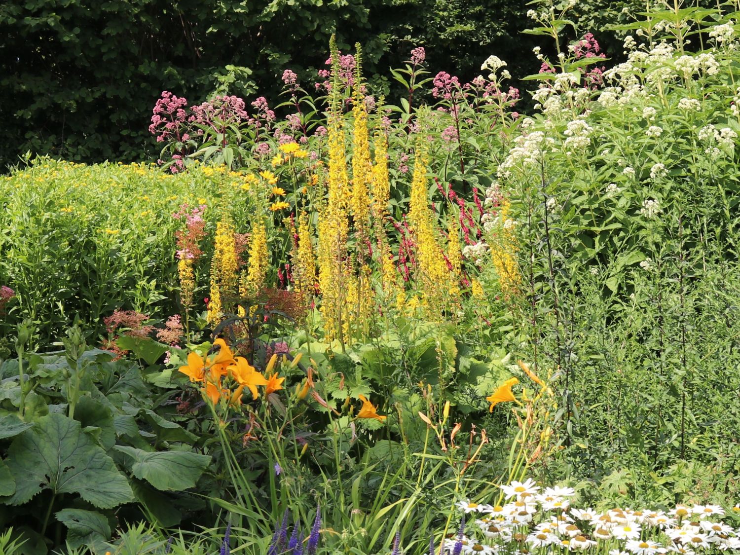 Kerzen-Goldkolben 'Zepter'