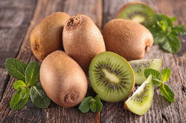 Kiwipaket 'Hayward' & 'Atlas' im Duo - Actinidia deliciosa 'Hayward' (1 x weiblich) und 'Atlas' (1 x männlich)