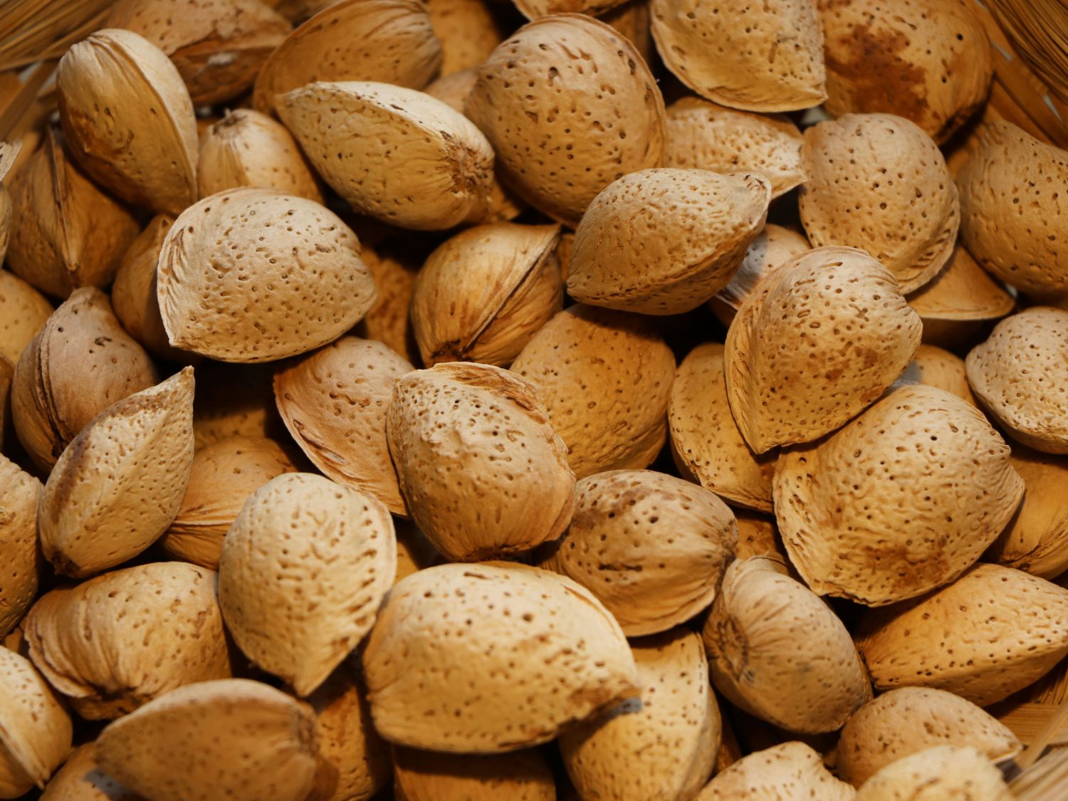 Mandel 'Dürkheimer Krachmandel'