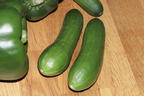 Mini-Snack-Gurke 'Mini Stars' - Cucumis sativus 'Mini Stars'