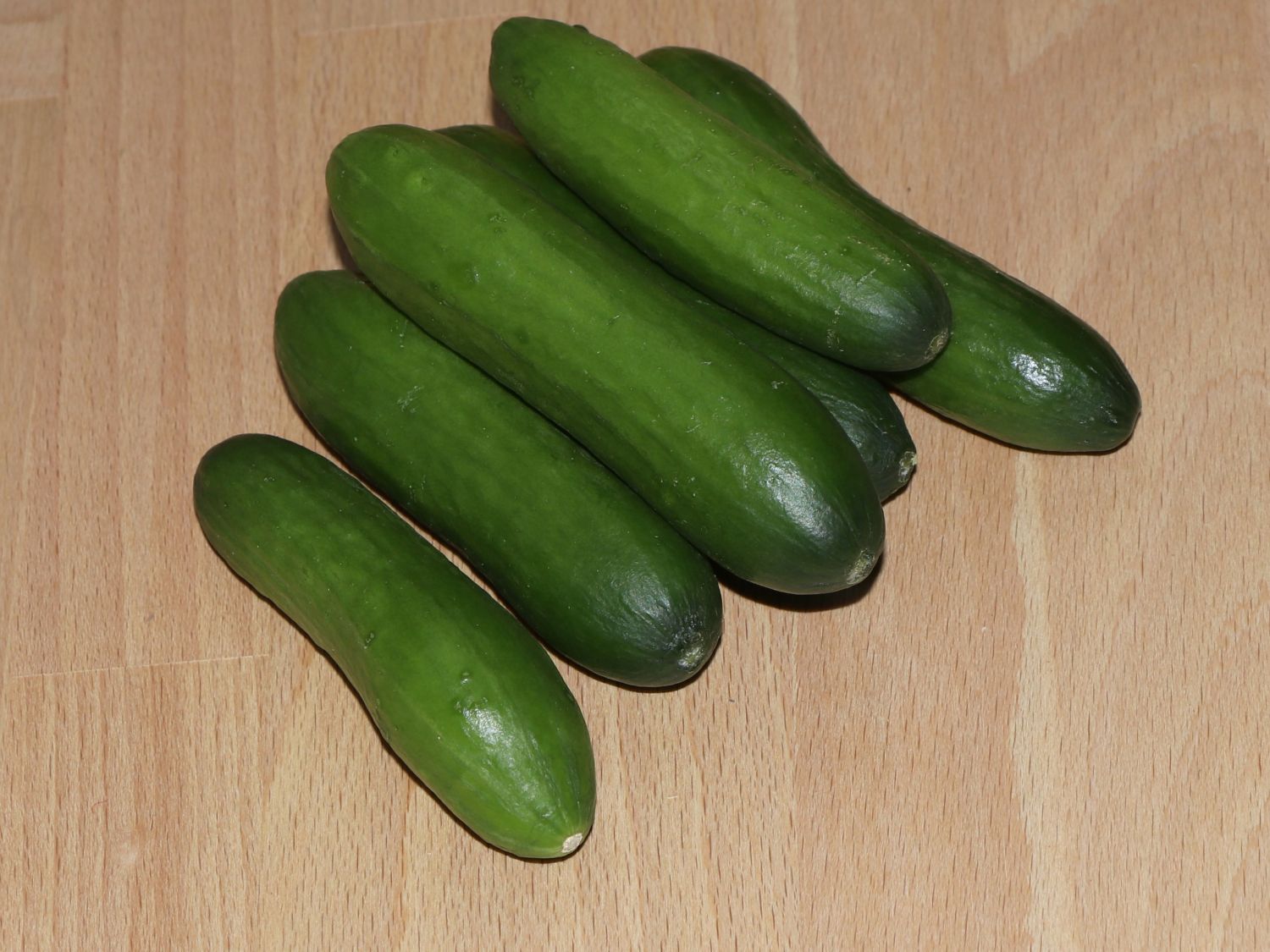 Mini-Snack-Gurke 'Mini Stars' - Cucumis sativus 'Mini Stars'