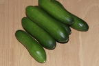 Mini-Snack-Gurke 'Mini Stars' - Cucumis sativus 'Mini Stars'
