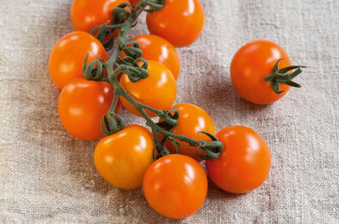 Nektar-Cherrytomate 'Solena ® Sweet Orange' - Solanum lycopersicum 'Solena ® Sweet Orange'