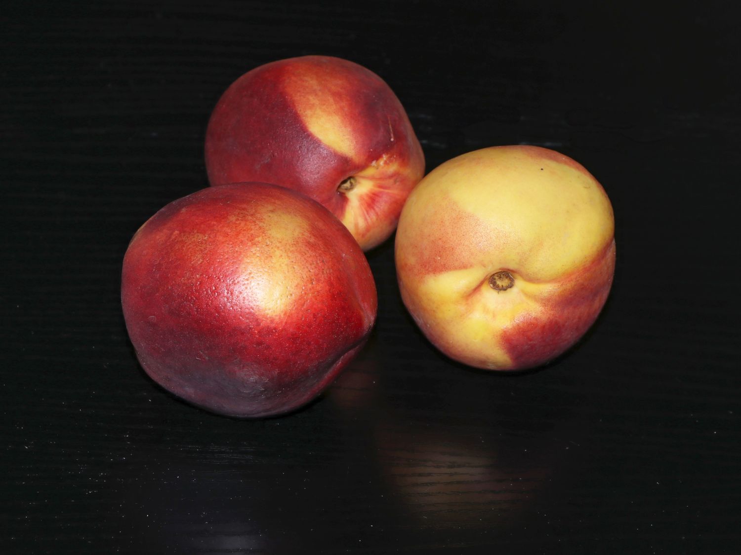 Nektarine 'Snow Queen'