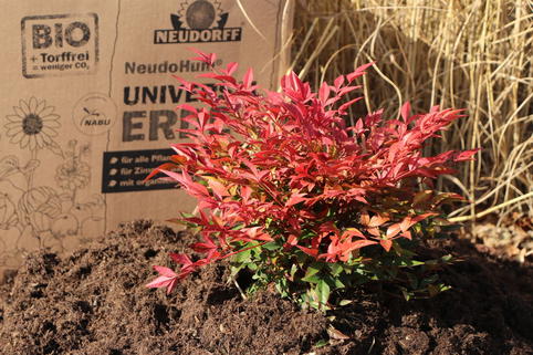 NeudoHum ® Universalerde - NEUDORFF ®