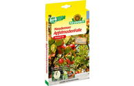 Neudomon ® Apfelmadenfalle