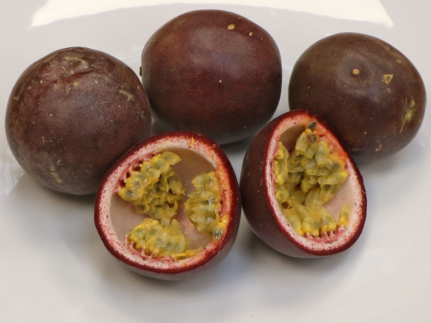 Passionsfrucht / Maracuja - Passiflora edulis