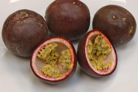 Passionsfrucht / Maracuja - Passiflora edulis