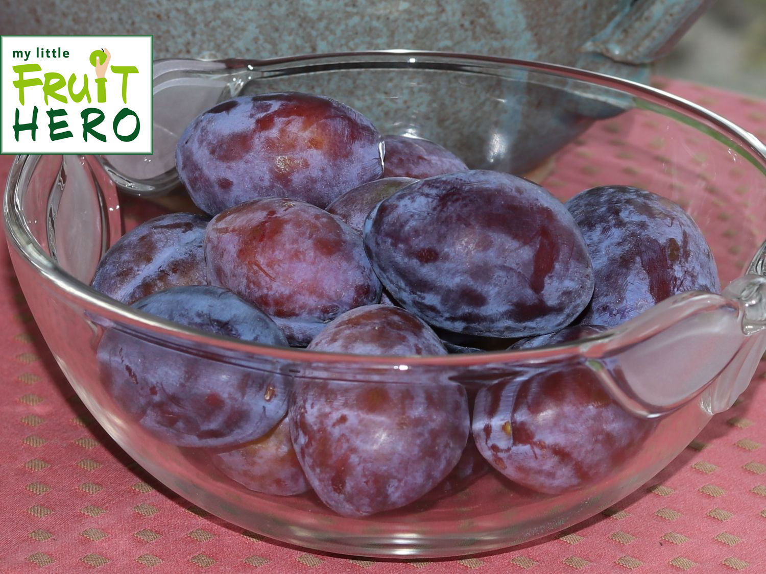 Zwetsche my little FRUIT HERO ® 'Hanita'