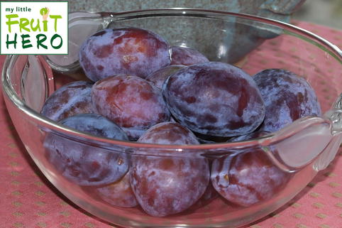 Zwetsche my little FRUIT HERO ® 'Hanita' - Prunus domestica my little FRUIT HERO ® 'Hanita'