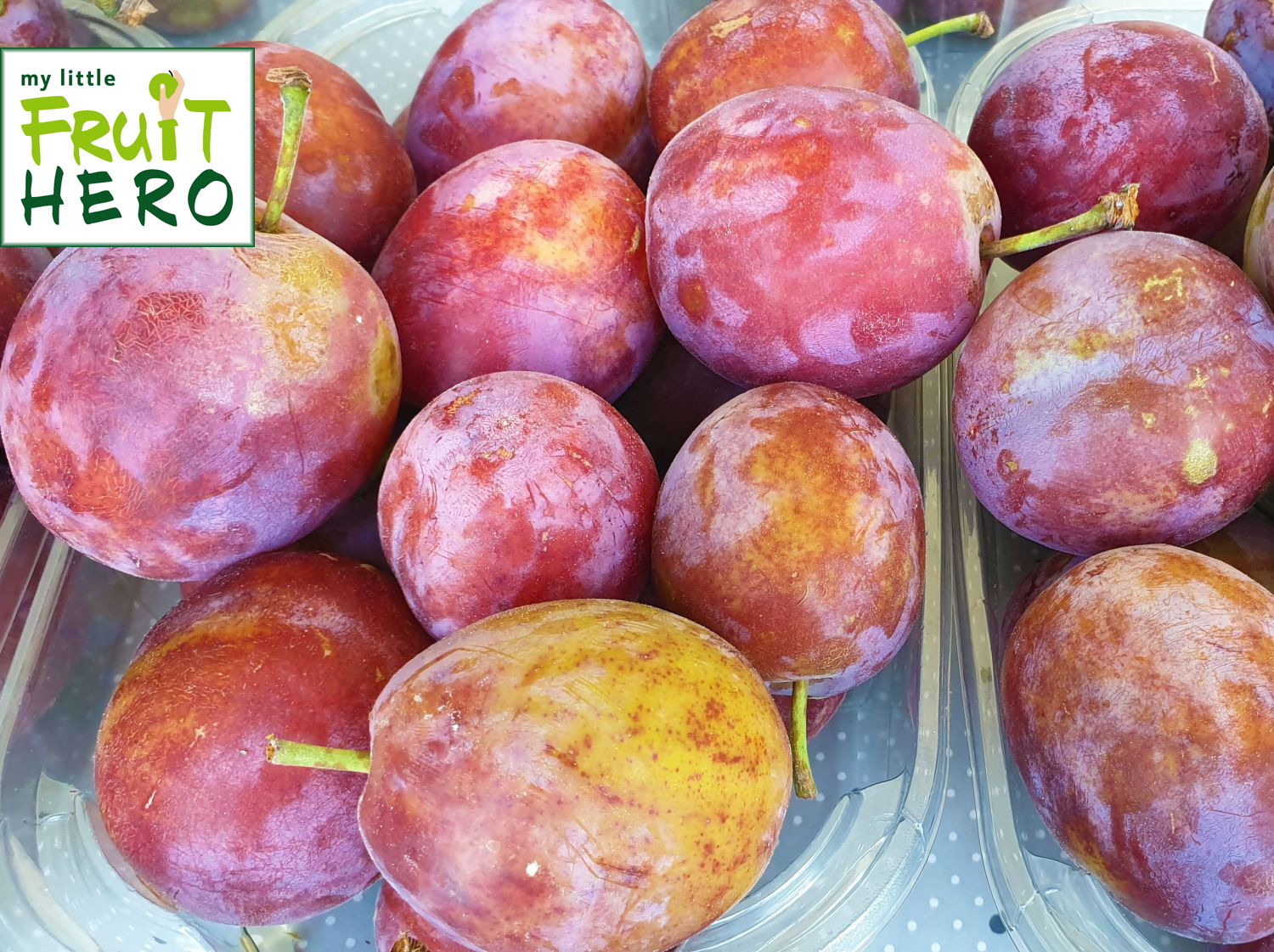Pflaume my little FRUIT HERO ® 'Opal'