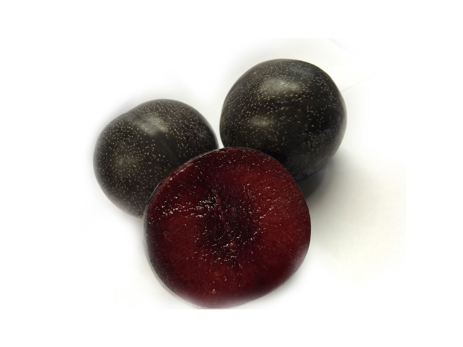 Pflaume 'Super Nova'