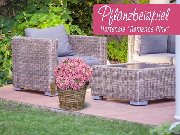 Rattankorb 'Patio-Line' - aus 100 % nachhaltigem Anbau