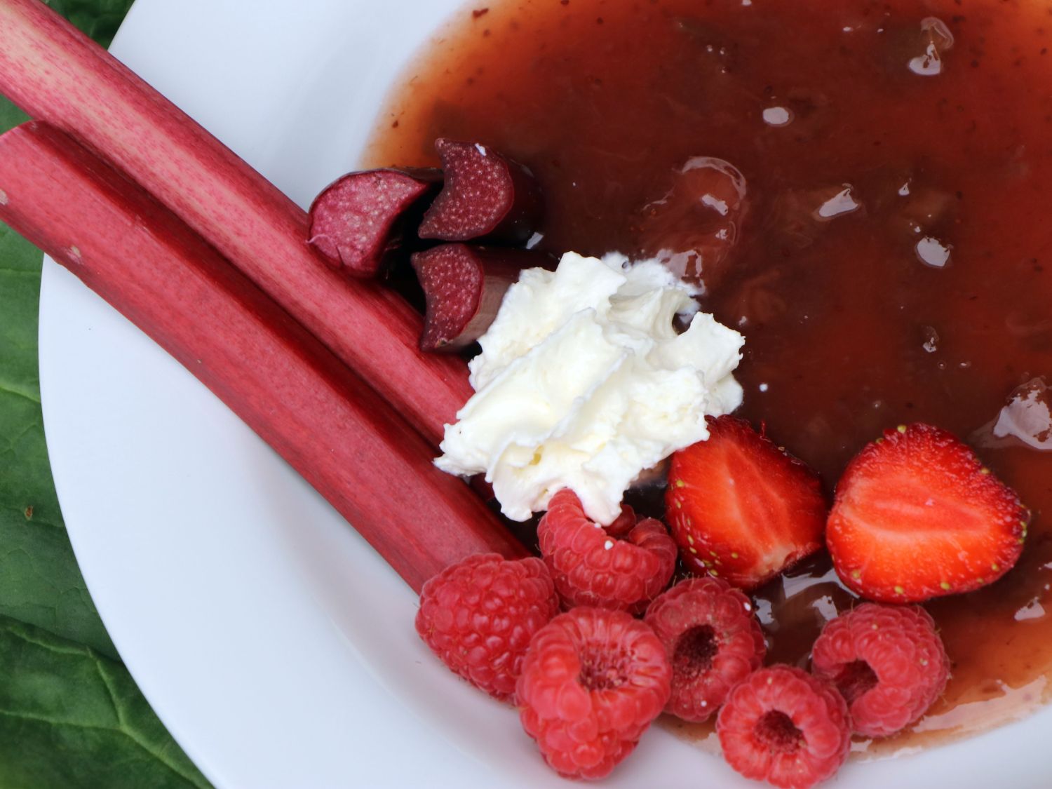 Rhabarber 'Canada Red' - Rheum rhabarbarum 'Canada Red'