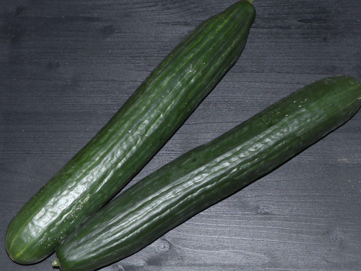 Schlangengurke 'Cyrano' ® (Dominica) - Cucumis sativus 'Cyrano' ®