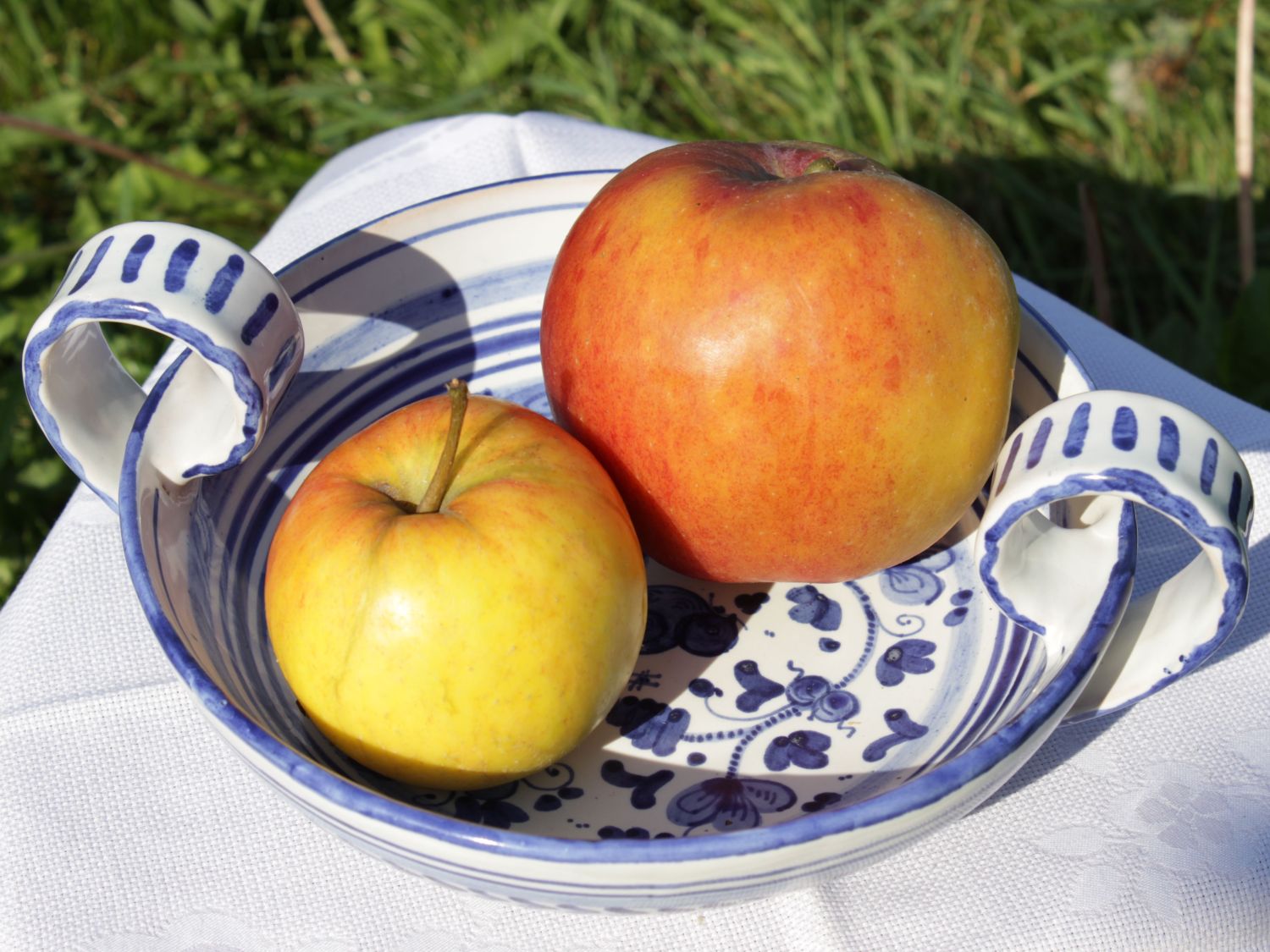 Sommerapfel 'James Grieve' - Malus 'James Grieve'