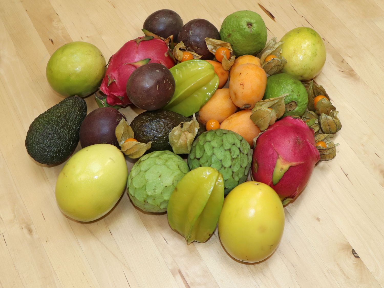 Sauerkleegewächse (Oxalidaceae)