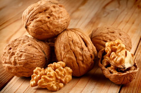 Walnuss 'Klon 1247' Veredelung - Juglans regia 'Klon 1247' Veredelung